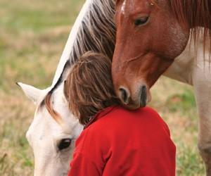 Animal-Assisted Therapy: A unique way of dealing with learning and behavior challenges